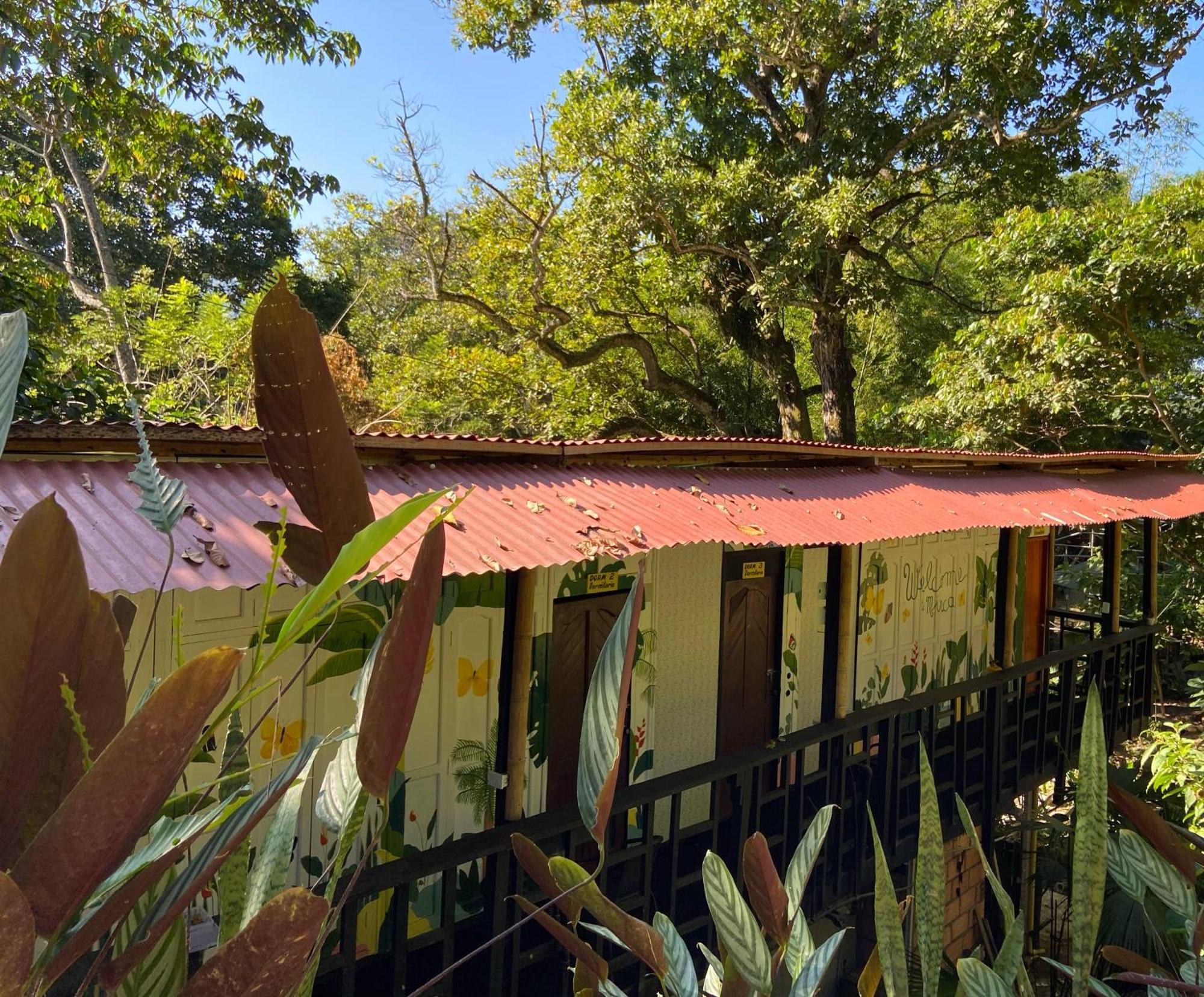 Hostal Las Mariposas Minca Exterior photo