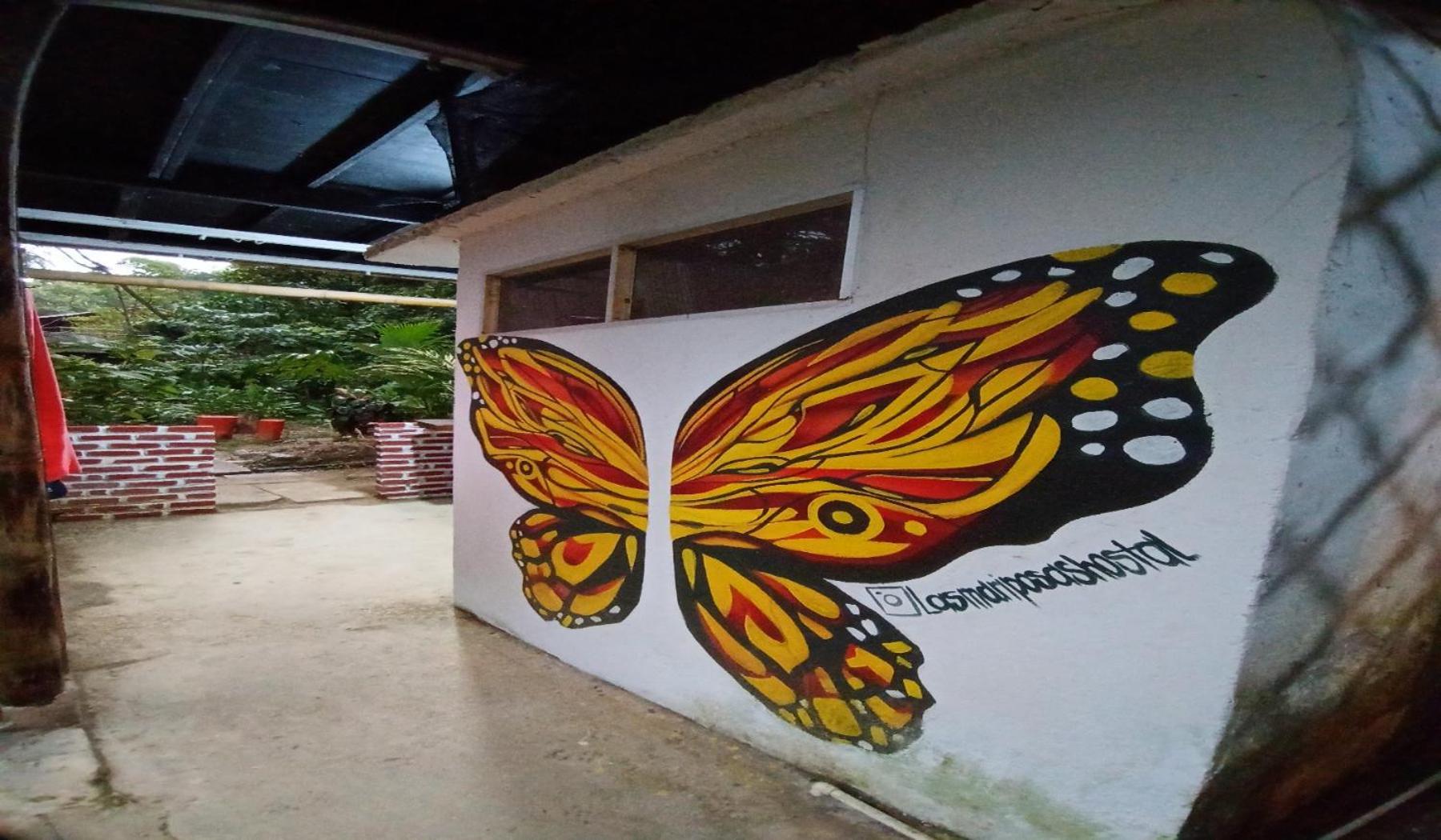 Hostal Las Mariposas Minca Exterior photo